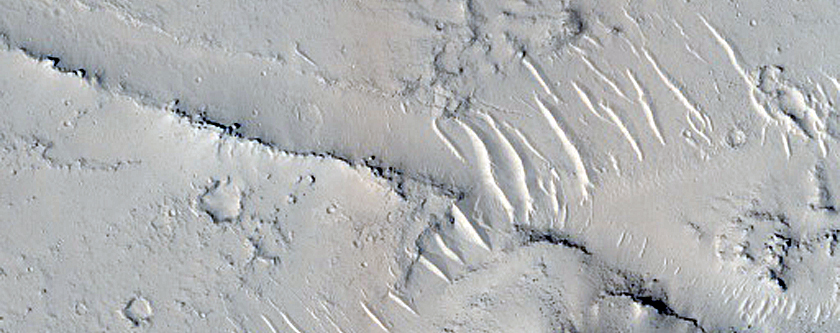Trough near Cerberus Region