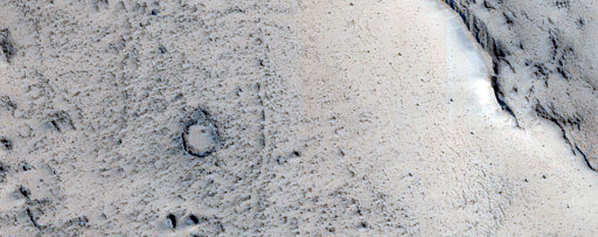 Lines of Cratered Cones in Tartarus Colles