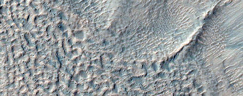 Gullied Crater