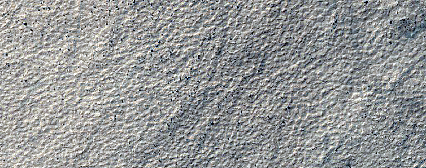 Monitoring Dust Devil Tracks in Terra Cimmeria