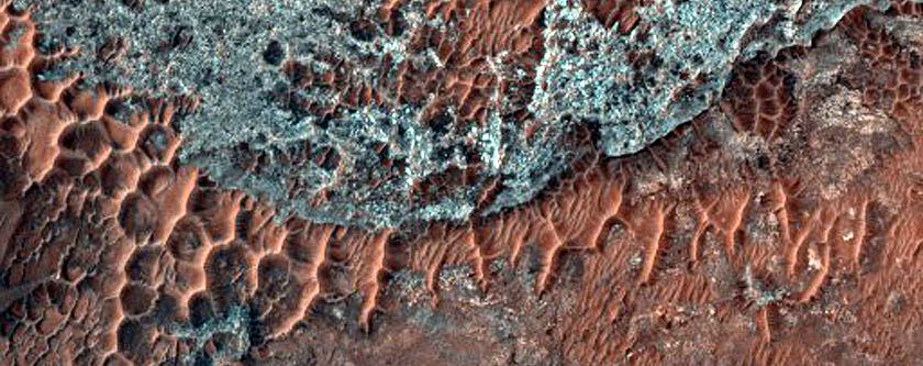Ripples and Transverse Aeolian Ridges in Elorza Crater