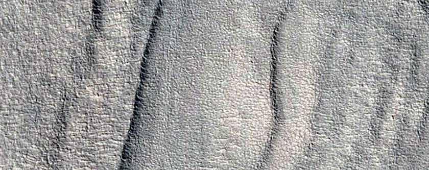 Pits Forming Lines in Protonilus Mensae