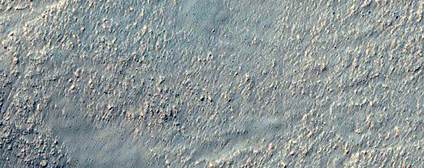 Gullies on Mound in Nereidum Montes