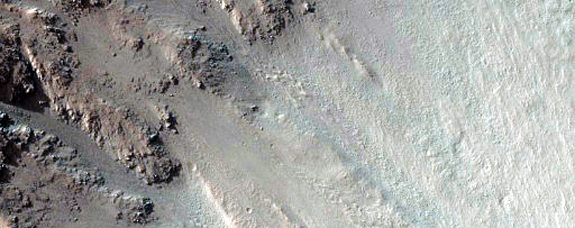 Large and Fresh-Looking East-Facing Gullies