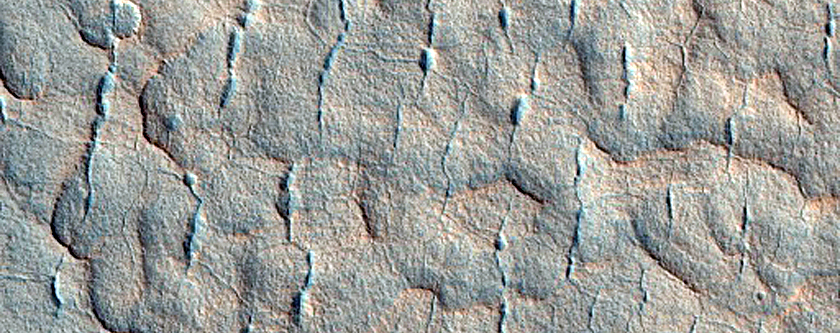 Scalloped Terrain in Utopia Planitia