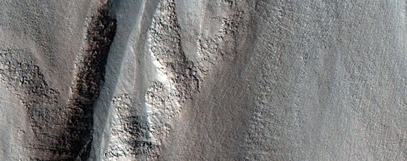 Monitor Gully in Arandas Crater