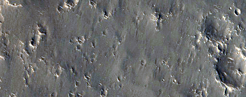 Ridges in Western Elysium Planitia