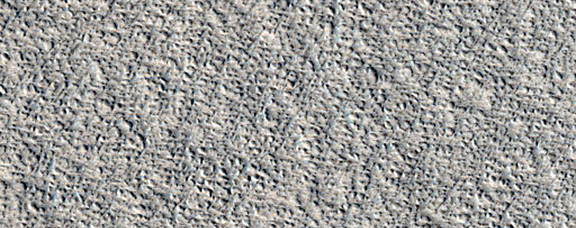 Arcadia Planitia Dust Devil Survey