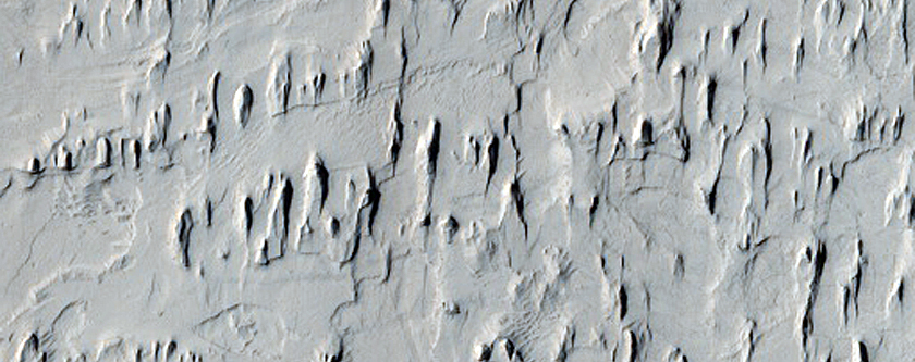 Ridges and Yardangs in Apollinaris Sulci
