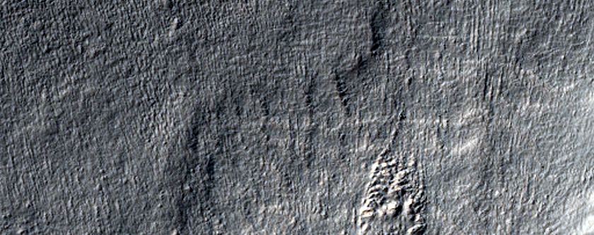 Gullies in Crater in Wall of Larger Crater in Terra Cimmeria