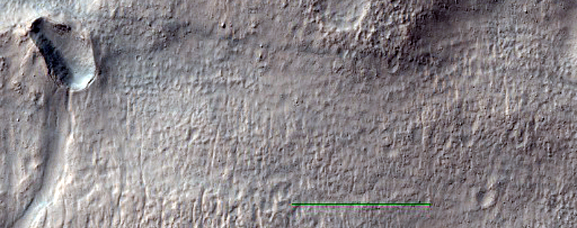 Surface Features West of Newton Crater