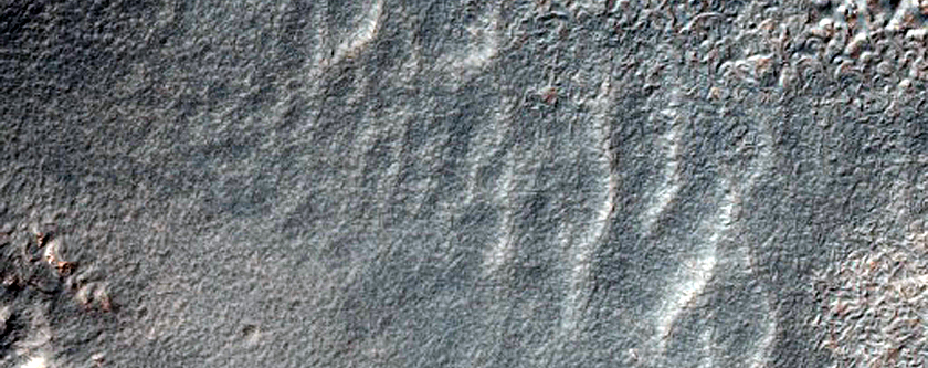 Dipping Layers in Southern Mid-Latitude Crater