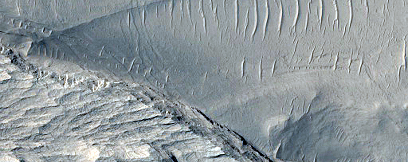 Dark Sediments in Medusae Fossae Formation