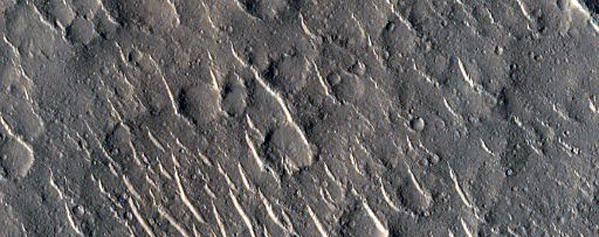 Parallel Lines of Cratered Cones in Isidis Planitia