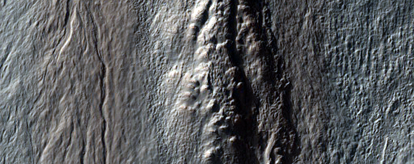 Gullies in Southern Mid-Latitude Crater