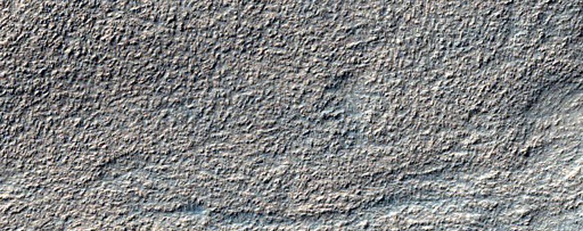 Ridge Network in Hellas Planitia