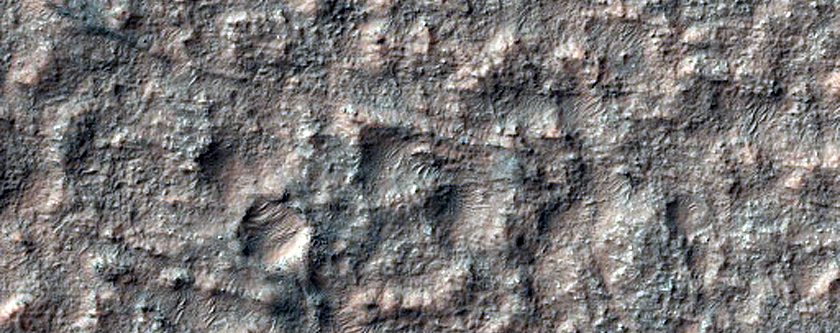 Region with Lobate Scarps and Dense Network of Linear Ridges