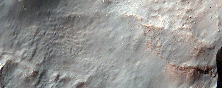 Gully Monitoring