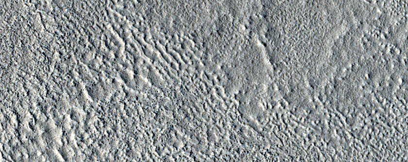 Impact Monitoring in Arcadia Planitia
