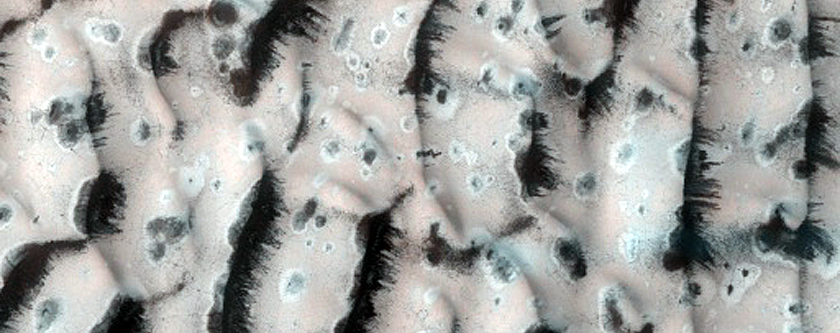 Dune Monitoring in Lomonosov Crater