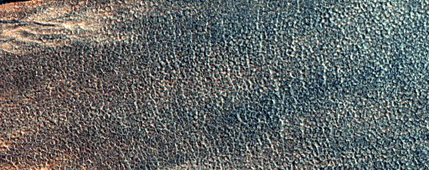 Variety of Gully Forms in Northern Lowlands Crater