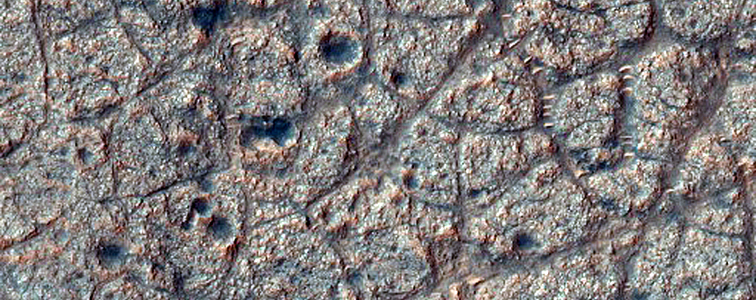 Polygonal Cracks in Galilaei Crater