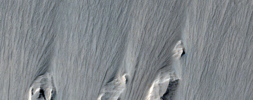Possible Geological Contact between Two Units