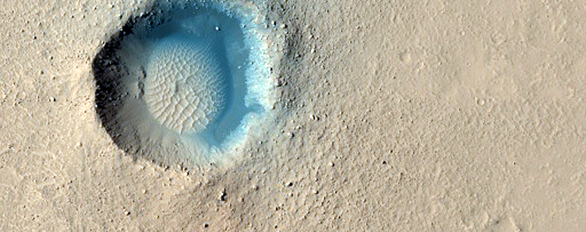 Bright Spot in Day and Night Infrared