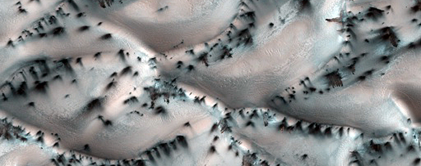 Gypsum Dunes