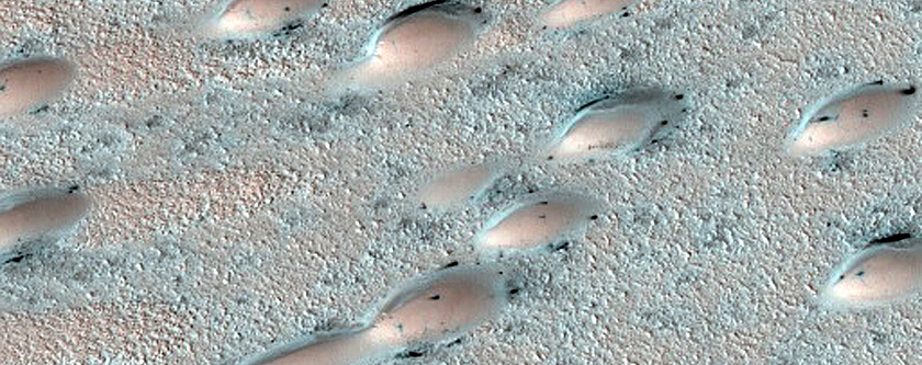 North Polar Duneforms and Frost