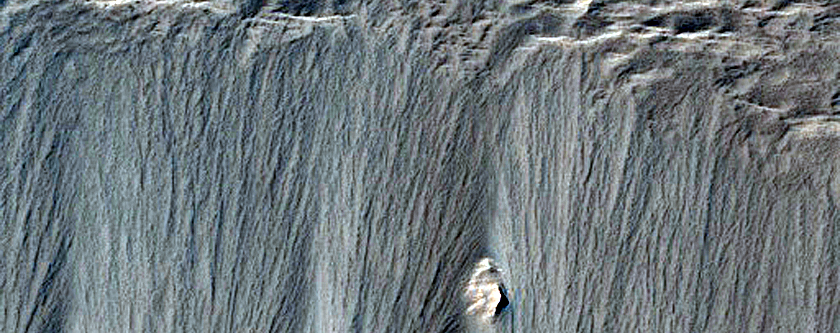 Possible Geological Contact Between Two Units