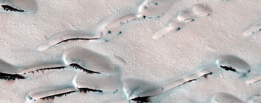Olympia Undae Dune-Ice Survey