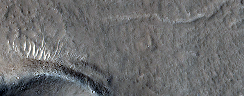 Utopia Planitia Cones and Embayed Terrain