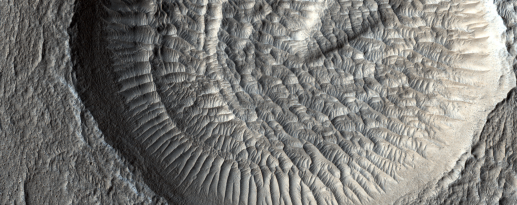 Layered Deposits and Wind Ripples