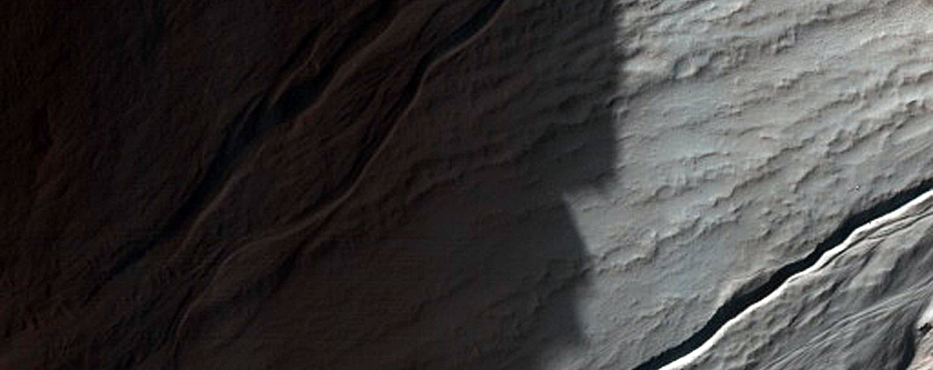 Monitoring Gullies and Frost in Eastern Hale Crater
