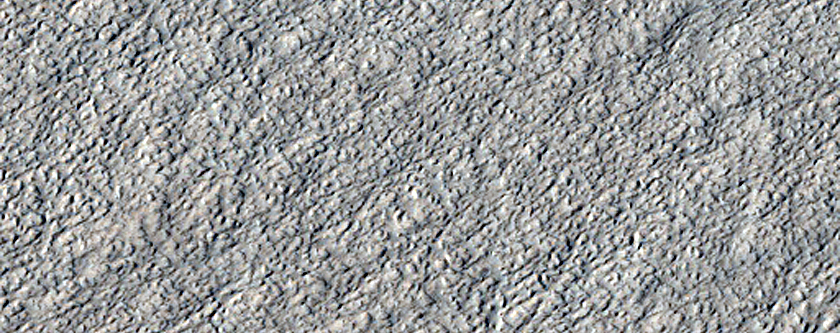 Amazonis Planitia Dust Devil Survey