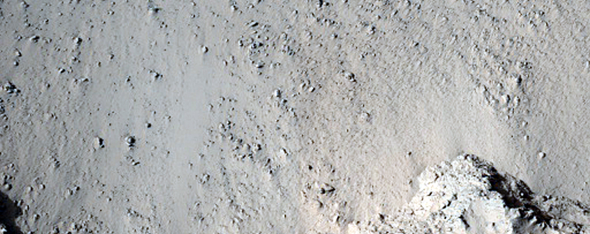 Boulders and Megaclasts in Elysium Fossae Trough