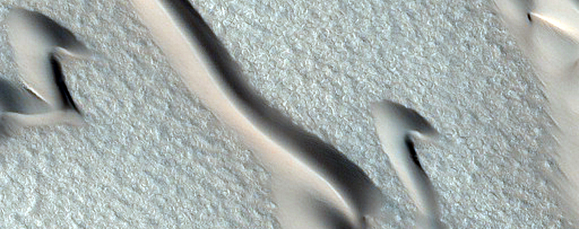 Furrows on Dunes