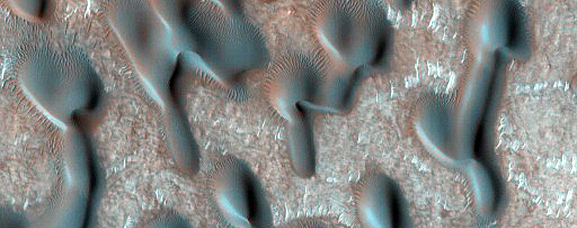 Dune Monitoring in Impact Crater