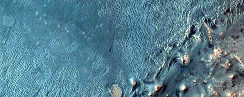 Active Dune Monitoring in Meridiani Planum
