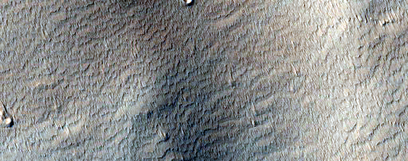 Branched Channels near Echus Chasma