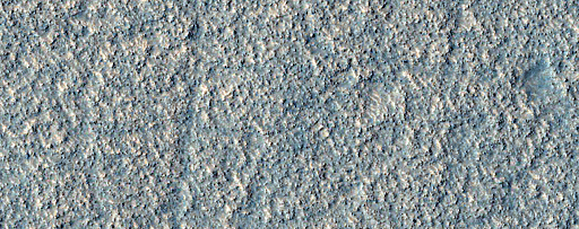 Albedo Monitoring in Arcadia Planitia