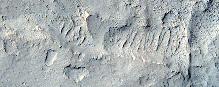Landforms North of Medusae Fossae