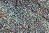 Candidate New Impact in Arcadia Planitia