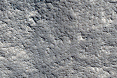 Protonilus Mensae