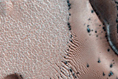 Dune Monitoring