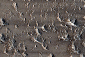 Daedalia Planum Albedo Variations