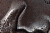 Dune Monitoring in Crater