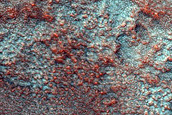 Pitted Northern Plains