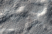 Spider Terrain